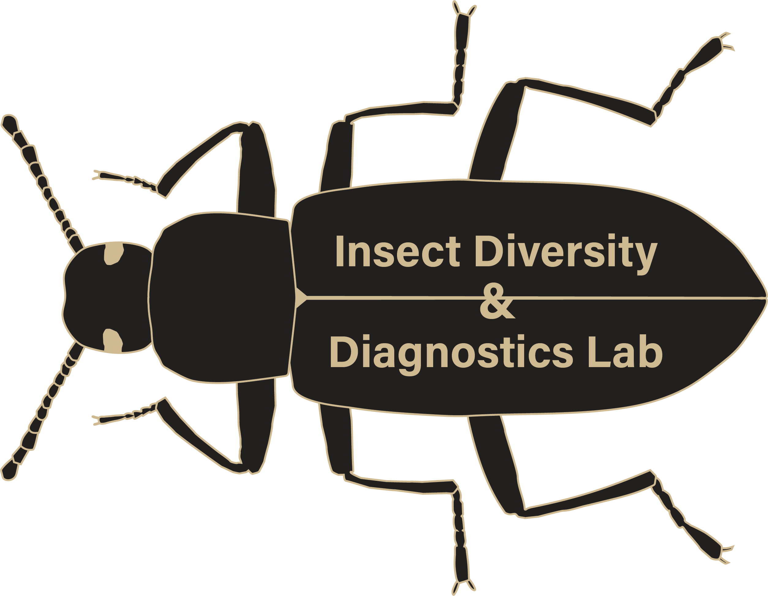 Insect Diversity and Diagnostics Lab logo